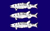 sald-flag.jpg